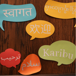 Multi-language Output