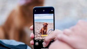 Image & Audio Recognition