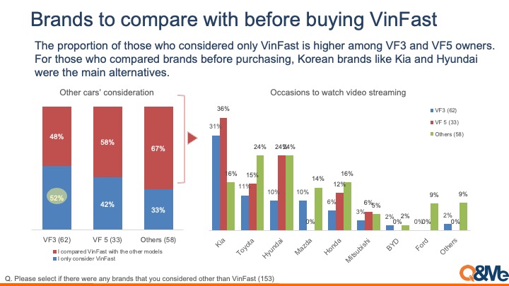 VinFast car owner purchase behavior